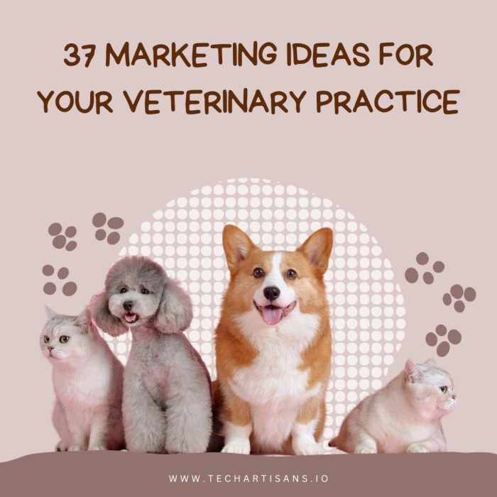Marketing Ideas for Veterinary Practice