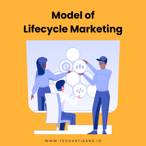 Model of Lifecycle Marketing