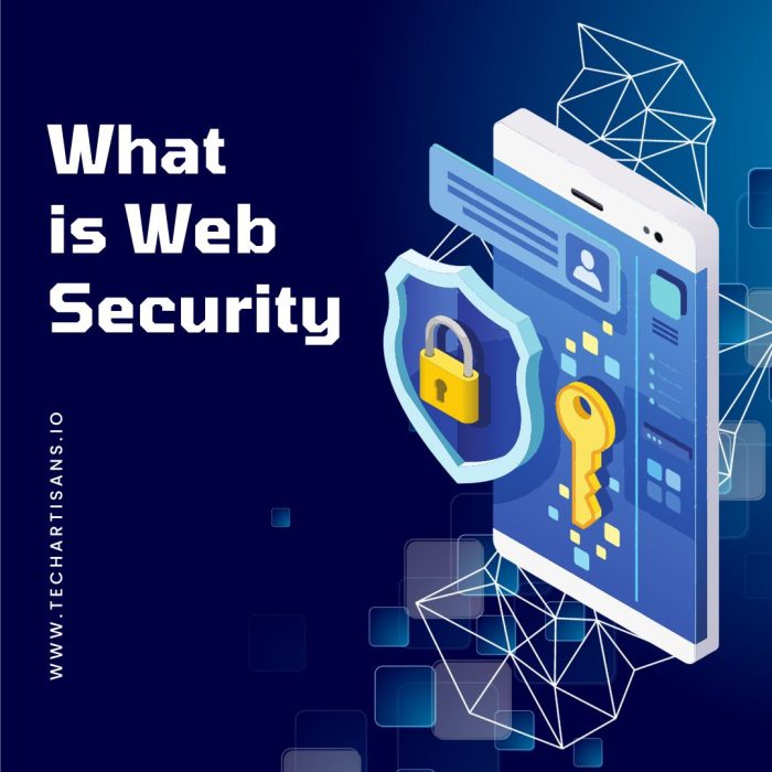 What is Web Security