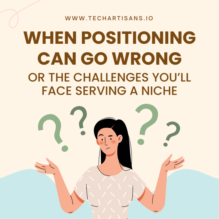 Challenges in Niche Positioning